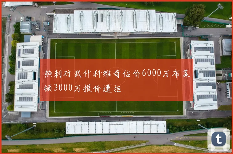 热刺对武什科维奇估价6000万布莱顿3000万报价遭拒